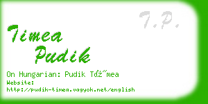 timea pudik business card